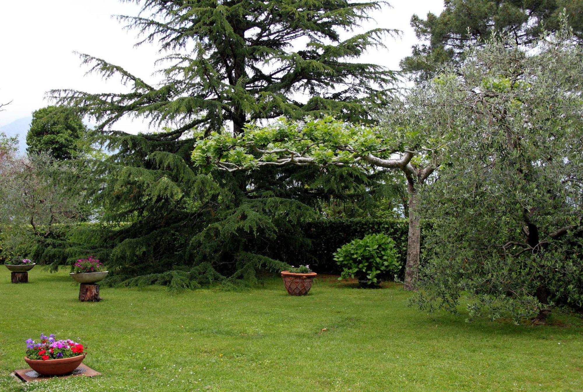 Hotel Il Buongustaio Massa  Extérieur photo
